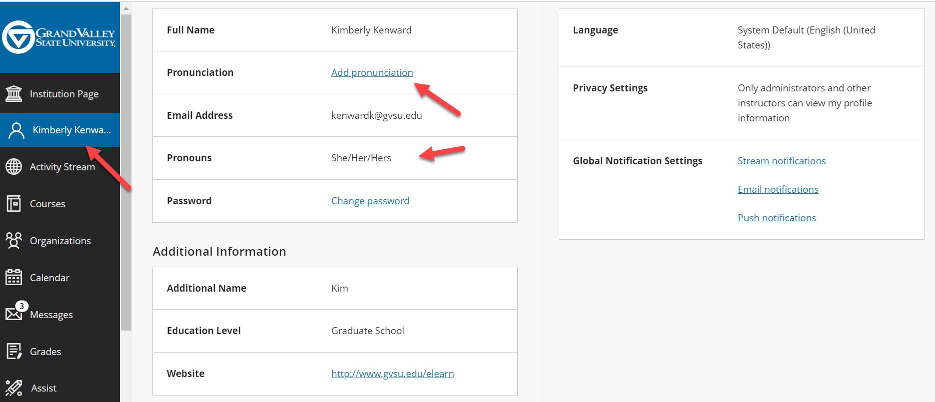 Screen capture showing the Blackboard platform with instructions on how to update a student's pronunciation of name and pronouns.